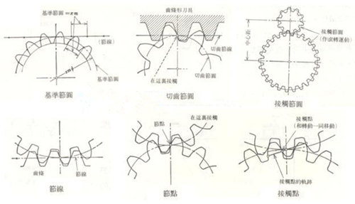  渐开线齿形