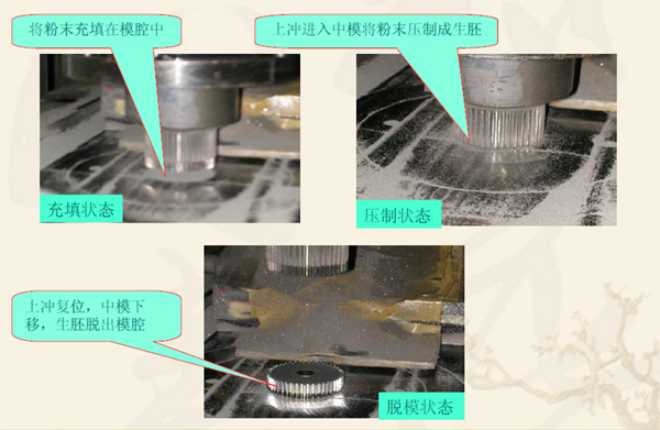 WWW.榴莲视频齿轮在压机上的成型过程